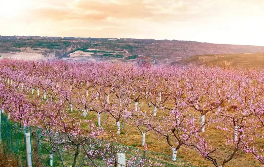 2026年宁县文化馆文旅融合主题推介活动预告